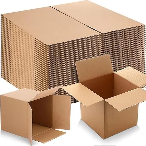 Carton box (32X22X25CM, RSC 5 Ply)